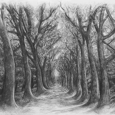 Pathway Outside Le Château De Chenonceau by Shea Freeman