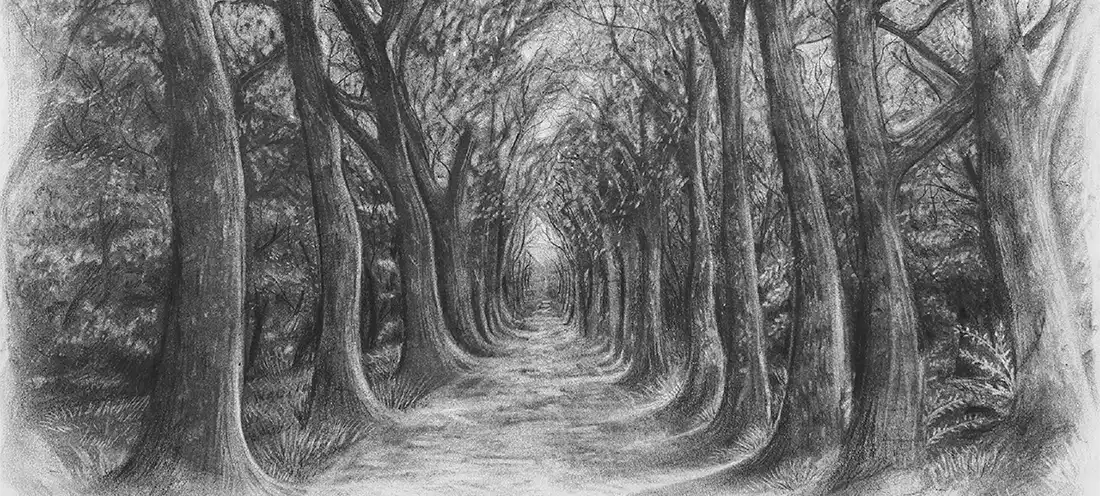Pathway outside le château de chenonceau by Shea Freeman
