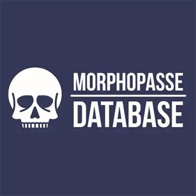morphopasse skull logo